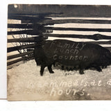 Warm.meals.at.all.hours: Wonderful Early 1900s Family Lunch Counter Advertising RPPC With Sow