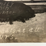 Warm.meals.at.all.hours: Wonderful Early 1900s Family Lunch Counter Advertising RPPC With Sow