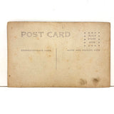 Warm.meals.at.all.hours: Wonderful Early 1900s Family Lunch Counter Advertising RPPC With Sow