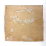 Glass Plate Crack Across Lonely, Flooded Rural Scene, Antique Cyanotype Printed from Broken Plate