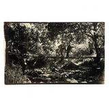 No Shooting in Park Limits: Stunningly Rich Antique RPPC of Two Men on Suspension Bridge