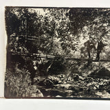 No Shooting in Park Limits: Stunningly Rich Antique RPPC of Two Men on Suspension Bridge