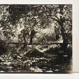 No Shooting in Park Limits: Stunningly Rich Antique RPPC of Two Men on Suspension Bridge