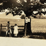 Gathering at the (PA German Pow Wow Healing?) Tree, Intriguing Early 1900s Double Exposure Snapshot, Lebanon, PA
