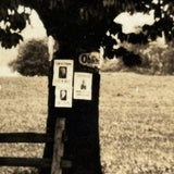 Gathering at the (PA German Pow Wow Healing?) Tree, Intriguing Early 1900s Double Exposure Snapshot, Lebanon, PA