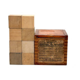 The Third Gift. Scarce E Steiger, NYC Late 19th Century Froebel Kindergarten Blocks