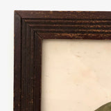 Lovely c. 1850s Watercolor of Green Pigeon on Branch in Period Frame