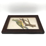 Lovely c. 1850s Watercolor of Green Pigeon on Branch in Period Frame