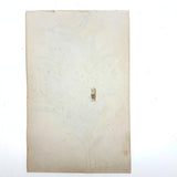 Silvery Gold Blossoms, Moody 19th Century Theorem Watercolor