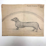 Dana Purinton's Top Speed Boston Terrier, with Strutting Dachshund on Reverse, Graphite Drawing