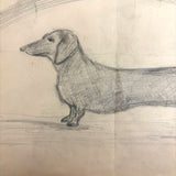 Dana Purinton's Top Speed Boston Terrier, with Strutting Dachshund on Reverse, Graphite Drawing