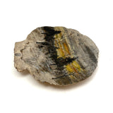 Winter Landscape, Grey and Gold Sky, Old Folk Art Painted Scallop Shell, Found in Maine