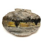 Winter Landscape, Grey and Gold Sky, Old Folk Art Painted Scallop Shell, Found in Maine