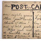 Girl and Her Chicks, Sweet Old Postage Stamp Collage Postcard