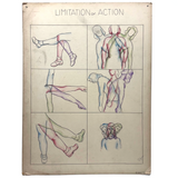 Limitation of Action! C. Holmes Ink and Watercolor Poster on Board (85%)