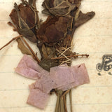 May Angels Twine for Three, 1876 Handmade Remembrance for Sade Robert's