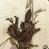 May Angels Twine for Three, 1876 Handmade Remembrance for Sade Robert's