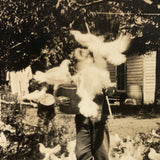 Flurry of Chickens, Beautiful Old Snaphot Photo