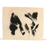 Flurry of Chickens, Beautiful Old Snaphot Photo