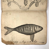 1783 British Notebook, Partial, with Ships, Fish, Geometry, etc.