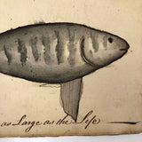 1783 British Notebook, Partial, with Ships, Fish, Geometry, etc.