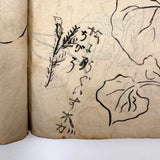 Beautiful 1849 Japanese Sketchbook Filled with Ink Drawings of Plants and Birds