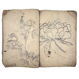 Beautiful 1849 Japanese Sketchbook Filled with Ink Drawings of Plants and Birds