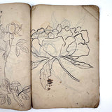 Beautiful 1849 Japanese Sketchbook Filled with Ink Drawings of Plants and Birds