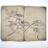 Beautiful 1849 Japanese Sketchbook Filled with Ink Drawings of Plants and Birds