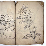 Beautiful 1849 Japanese Sketchbook Filled with Ink Drawings of Plants and Birds