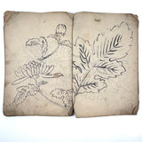 Beautiful 1849 Japanese Sketchbook Filled with Ink Drawings of Plants and Birds