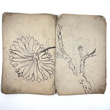 Beautiful 1849 Japanese Sketchbook Filled with Ink Drawings of Plants and Birds