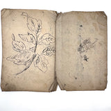 Beautiful 1849 Japanese Sketchbook Filled with Ink Drawings of Plants and Birds