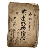 Beautiful 1849 Japanese Sketchbook Filled with Ink Drawings of Plants and Birds