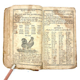 1853 Byerly's New American Spelling Book with Watercolor Bird and Animal Engravings