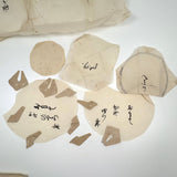 Beautiful 1849 Japanese Sketchbook Filled with Ink Drawings of Plants and Birds