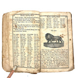 1853 Byerly's New American Spelling Book with Watercolor Bird and Animal Engravings