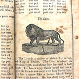 1853 Byerly's New American Spelling Book with Watercolor Bird and Animal Engravings