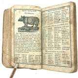 1853 Byerly's New American Spelling Book with Watercolor Bird and Animal Engravings