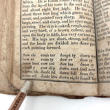1853 Byerly's New American Spelling Book with Watercolor Bird and Animal Engravings