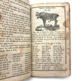 1853 Byerly's New American Spelling Book with Watercolor Bird and Animal Engravings