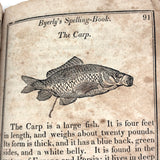 1853 Byerly's New American Spelling Book with Watercolor Bird and Animal Engravings