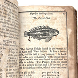 1853 Byerly's New American Spelling Book with Watercolor Bird and Animal Engravings