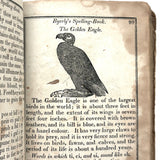 1853 Byerly's New American Spelling Book with Watercolor Bird and Animal Engravings