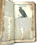 1853 Byerly's New American Spelling Book with Watercolor Bird and Animal Engravings