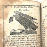 1853 Byerly's New American Spelling Book with Watercolor Bird and Animal Engravings
