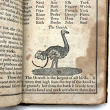 1853 Byerly's New American Spelling Book with Watercolor Bird and Animal Engravings