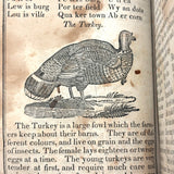 1853 Byerly's New American Spelling Book with Watercolor Bird and Animal Engravings