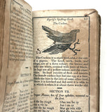 1853 Byerly's New American Spelling Book with Watercolor Bird and Animal Engravings