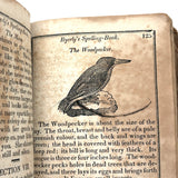 1853 Byerly's New American Spelling Book with Watercolor Bird and Animal Engravings